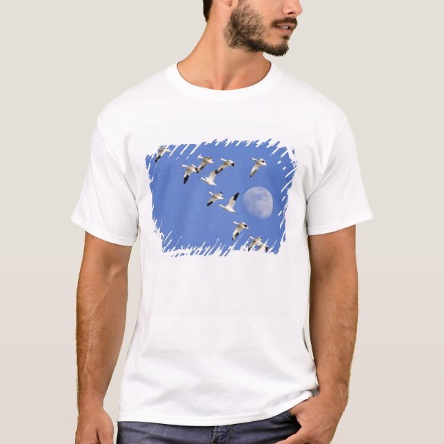 Camiseta Gansos de nieve toman vuelo en el lago Freezeout N (Anverso)