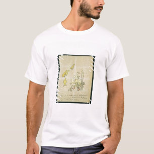 Camiseta Gansos y ansarones (w/c y tinta en el papel)