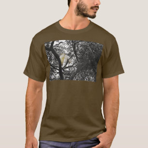 Camiseta Garcetas De Colombia
