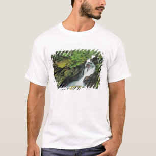 Camiseta Garganta de Avalanche en el Parque Nacional del Gl