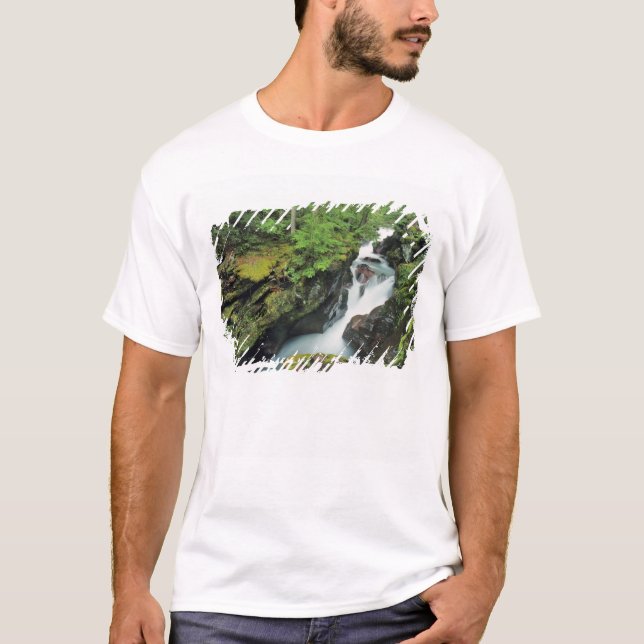 Camiseta Garganta de Avalanche en el Parque Nacional del Gl (Anverso)