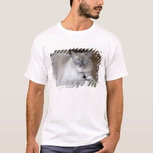 Camiseta Gata Ragdoll hembra
