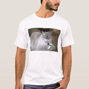 Camiseta Gata Ragdoll hembra