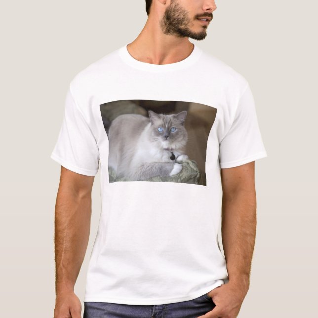 Camiseta Gata Ragdoll hembra (Anverso)