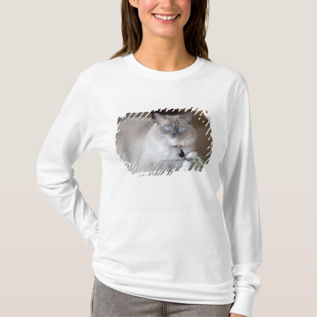 Camiseta Gata Ragdoll hembra (Anverso)