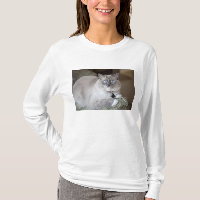 Camiseta Gata Ragdoll hembra (Anverso)
