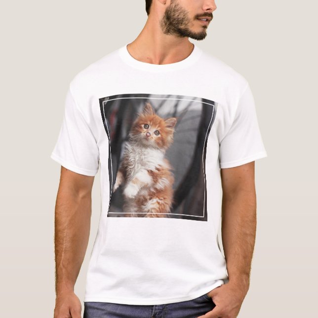 Camiseta Gatito anaranjado del Tabby (Anverso)
