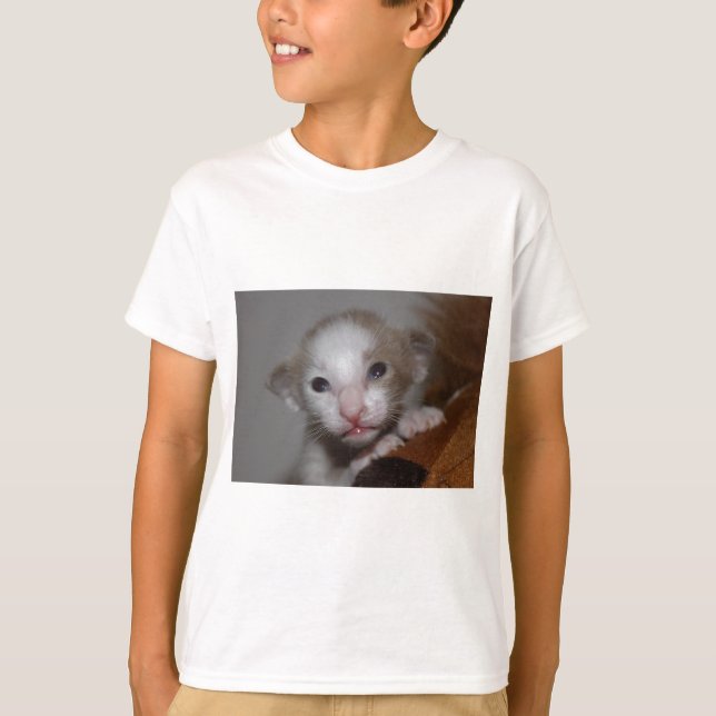 Camiseta Gatito bebé ridículamente lindo (Anverso)