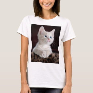 Camiseta Gatito blanco vulnerable