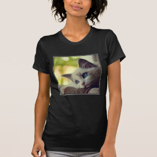 Camiseta Gatito de Ragdoll
