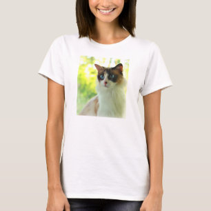 Camiseta Gatito de Ragdoll del calicó