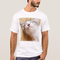 Gatito el dormir