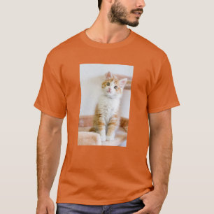 Camiseta Gatito observado azul dulce