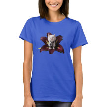 Gatito Persa Blanco Adorable Mujer