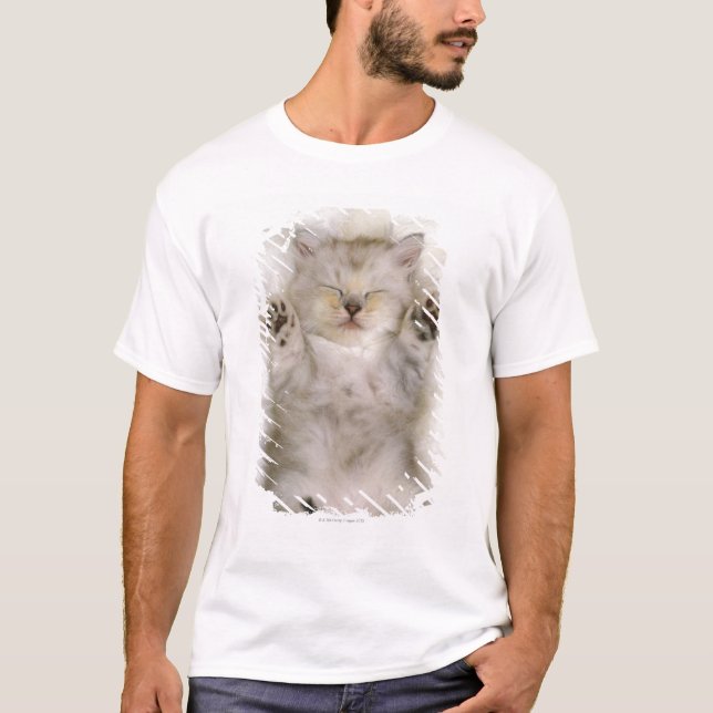 Camiseta Gatito que duerme en una alfombra mullida blanca, (Anverso)