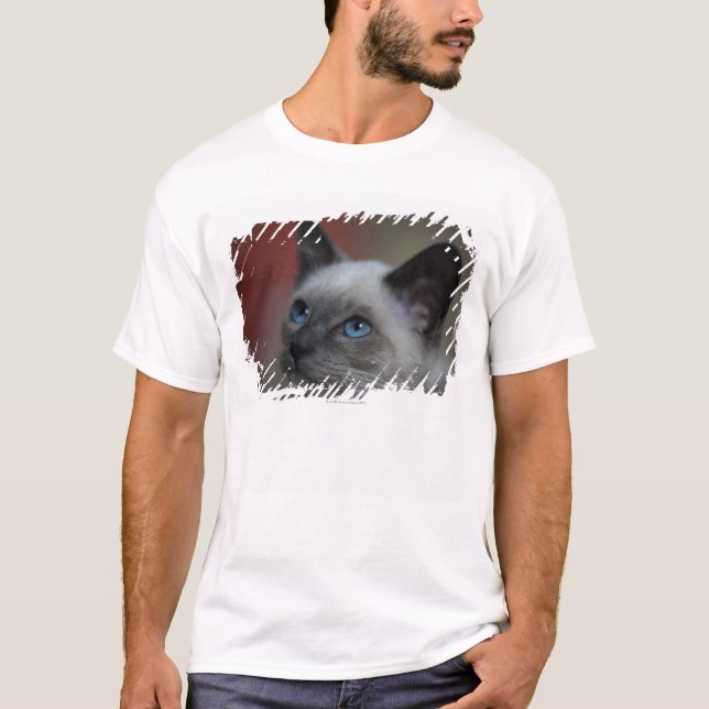 Camiseta Gatito siamés (Anverso)