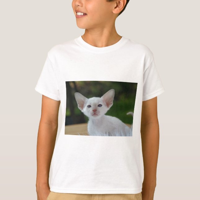 Camiseta Gatito siamés supercute (Anverso)