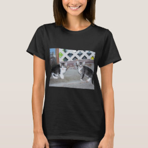Camiseta Gatitos