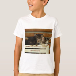 Camiseta Gatitos curados