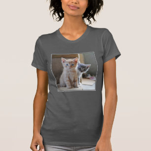 Camiseta Gatitos curiosos