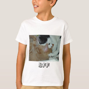 Camiseta Gatitos enamorados