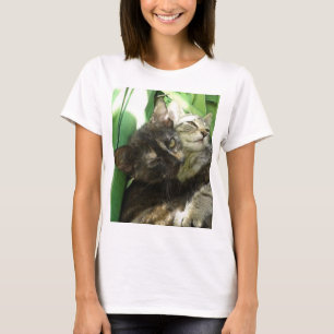Camiseta Gatitos lindos
