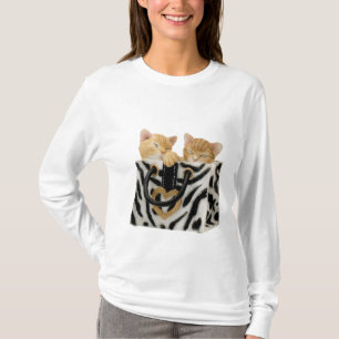 Camiseta Gatitos lindos en bolso del estampado de zebra