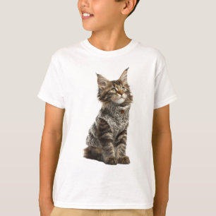 Camiseta Gatitos Maine Coon Aconchados y Tejidos para Niños