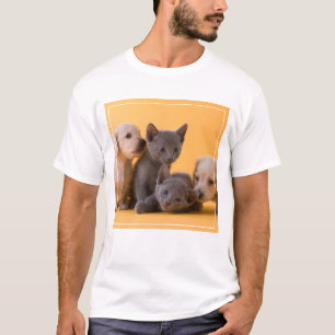 Camiseta Gatitos y perritos azules rusos del Dachshund