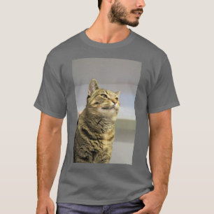 Camiseta Gato
