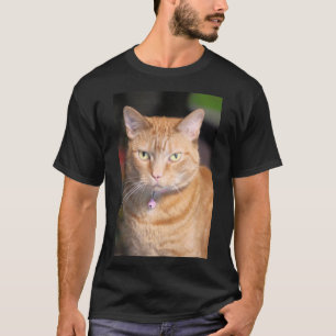 Camiseta Gato