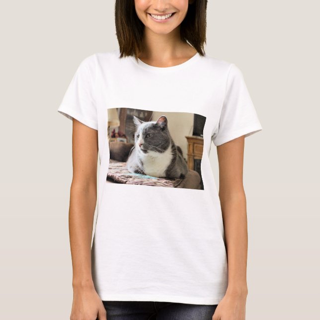 Camiseta Gato (Anverso)