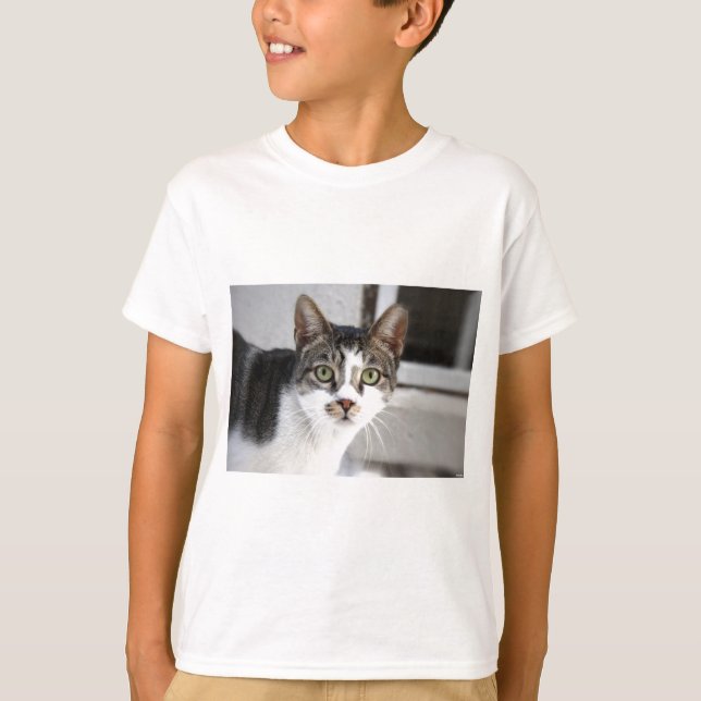 Camiseta Gato (Anverso)