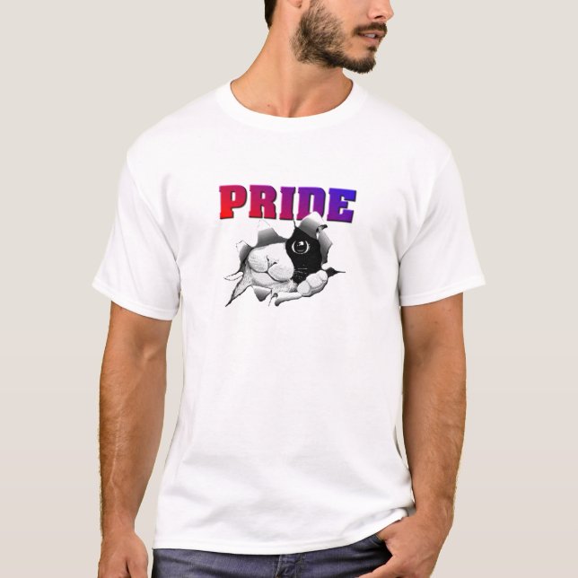 Camiseta Gato 1 del ORGULLO (Anverso)