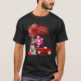 Camiseta Gato American Shorthair Amante Divertido Corazón Á