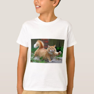 Camiseta Gato anaranjado gordo grande