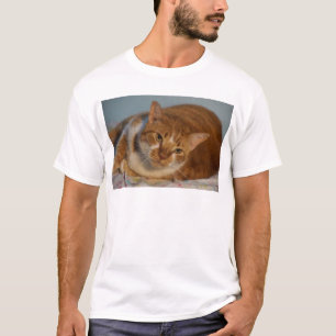 Camiseta Gato anaranjado y blanco