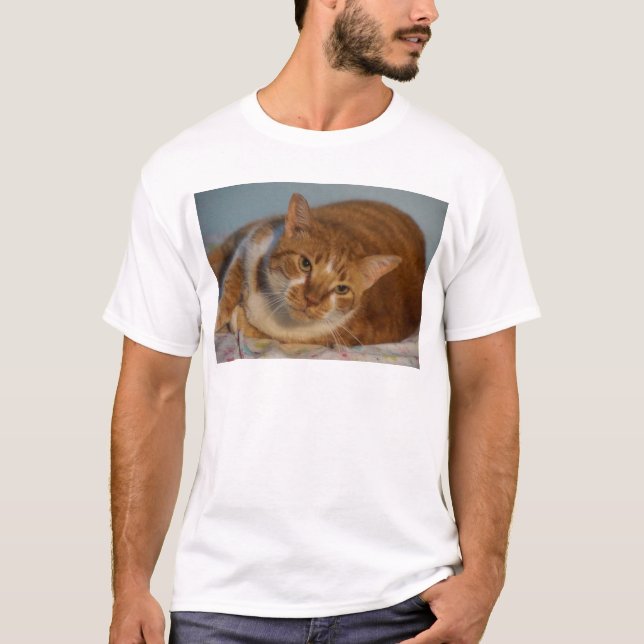 Camiseta Gato anaranjado y blanco (Anverso)