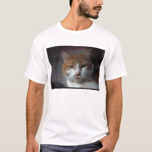 Camiseta Gato anaranjado y blanco de la "maravilla" de