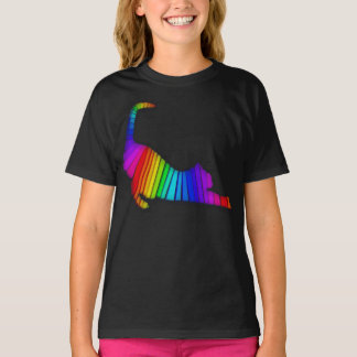 Camiseta Gato arco iris