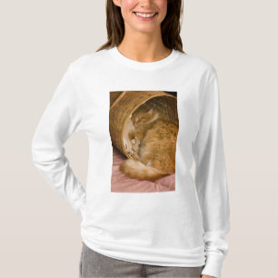 Camiseta Gato atigrado naranja durmiendo en cesto