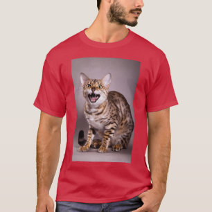 Camiseta Gato bengalí maows redhead