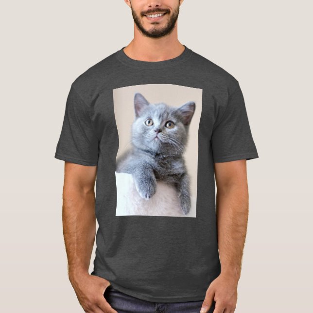 Camiseta Gato británico gris de Shorthair (Anverso)