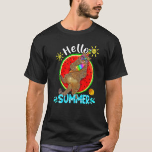 Camiseta Gato Con Helado Hola Verano Vacaciones De Verano