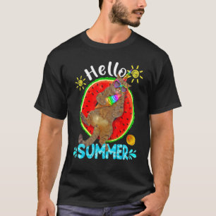 Camiseta Gato Con Helado Hola Verano Vacaciones De Verano 1