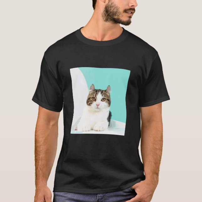 Camiseta gato de american curl_001 (Anverso)