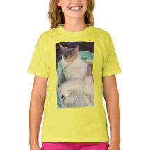 Gato de Calico en la cama de gato