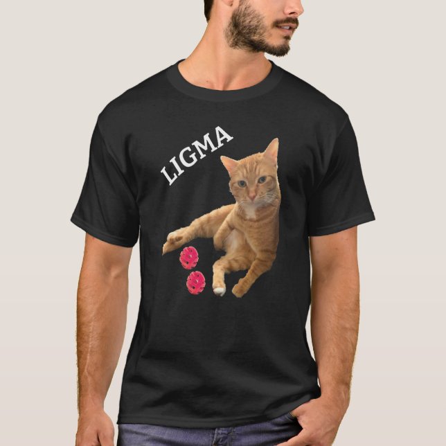 Camiseta Gato de Chiste Ligma con juguetes (Anverso)