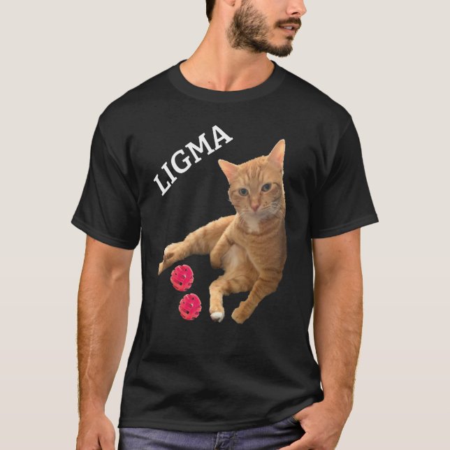 Camiseta Gato de Chiste Ligma con juguetes (Anverso)