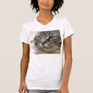 Camiseta Gato de Coon de Maine